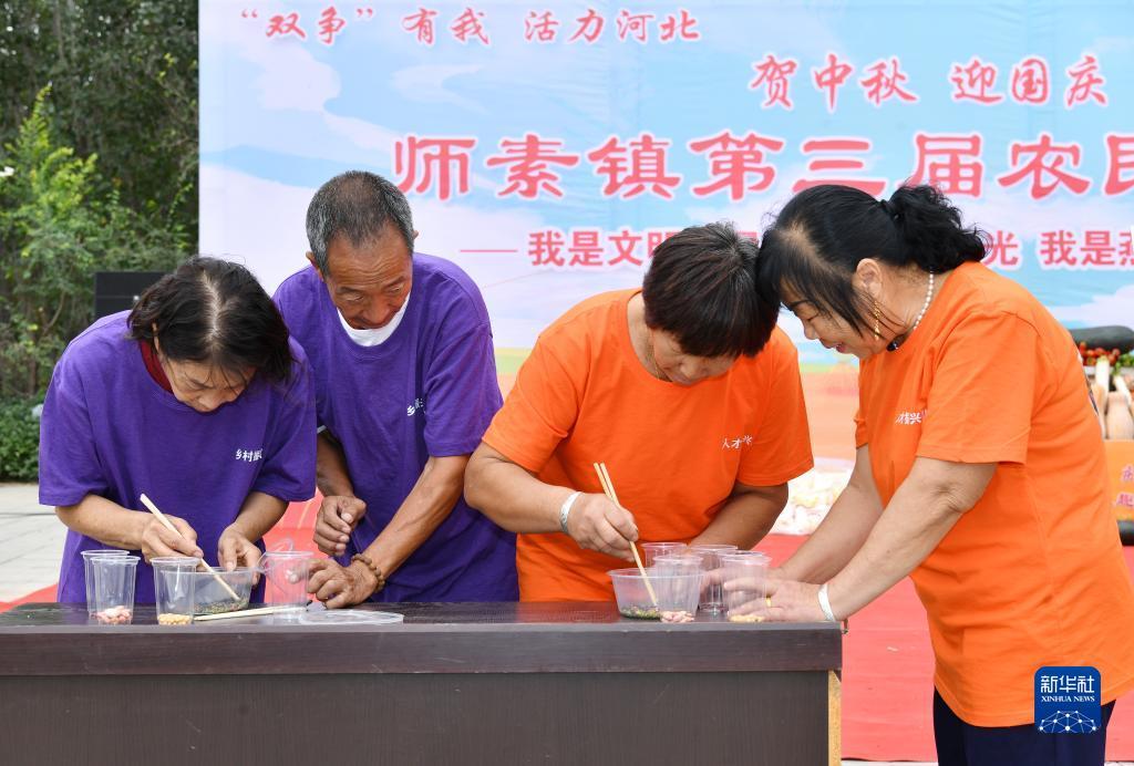 白菜送彩金大全网